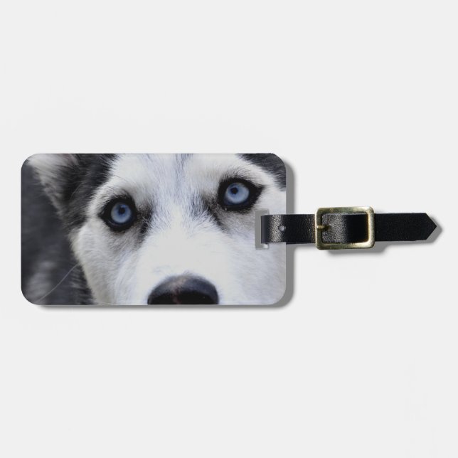Luggage Tag - Customised (Front Horizontal)