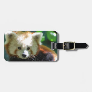 Luggage Tag - Customised
