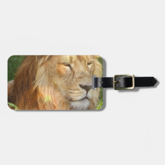 Luggage Tag - Customised