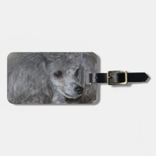 Luggage Tag - Customised
