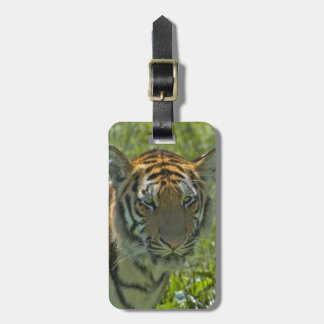 Luggage Tag - Customised