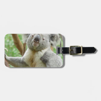 Luggage Tag - Customised