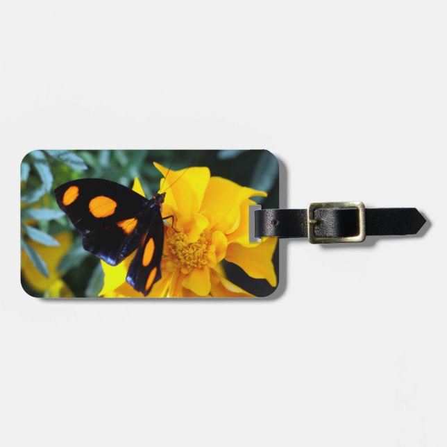 Luggage Tag/Grecian Shoemaker Tag (Front Horizontal)
