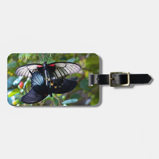 Luggage Tag/Mating Swallowtail Tag (Front Horizontal)