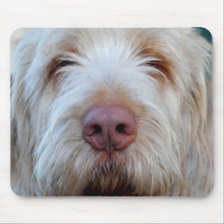 Luigi's Booper Mousepad