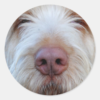 Luigi's Booper Sticker