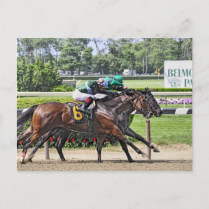 Luis Saez on Milesmore at Belmont Park Postcard