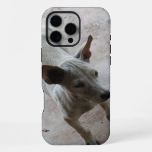 Luk Maa ... Thai Soi Puppy Dog iPhone 16 Pro Max Case