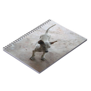 Luk Maa ... Thai Soi Puppy Dog Spiral Notebook