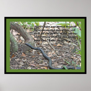 Luke 10:19 Scripture Poster (Version B)