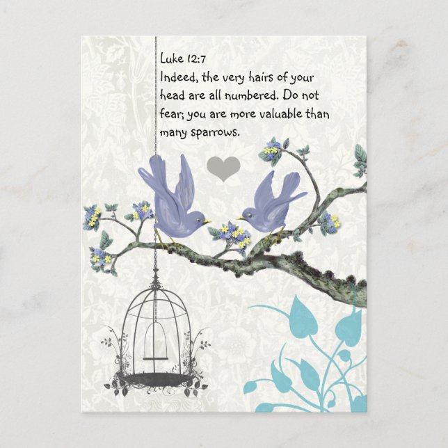 Luke 12:7 you are more valuable than many sparrows postcard (Front)