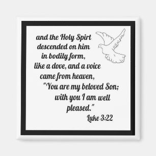 Luke 3:22 magnet