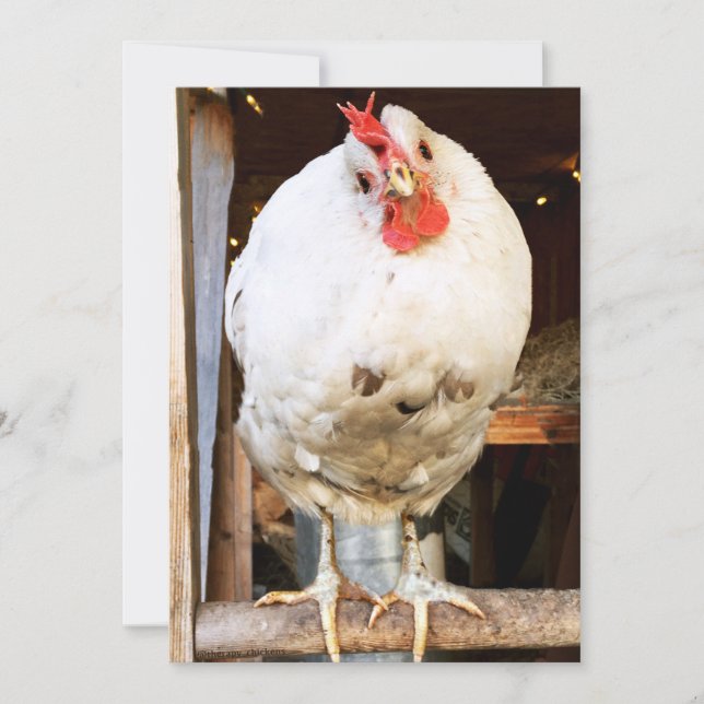 Lulu The chicken Card (Front)