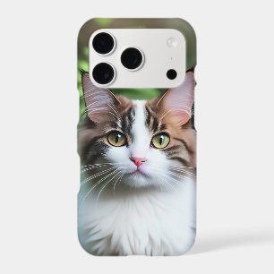 Lulu The Ragdoll Cat,