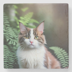 Lulu The Ragdoll Cat, Stone Coaster