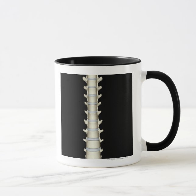 Lumbar and Thoracic Vertebrae Mug (Right)