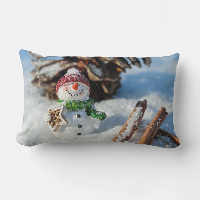 Lumbar Pillow 13" x 21" (Front)