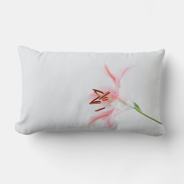 Lumbar Pillow 13" x 21" (Front)