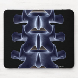 Lumbar Vertebra 2 Mouse Pad