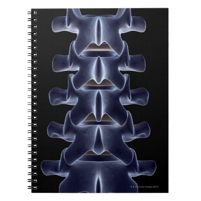 Lumbar Vertebra 2 Notebook (Front)