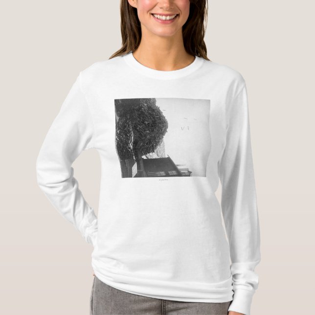 Lumber Pile outside the De Smet Mill  Photograph T-Shirt (Front)