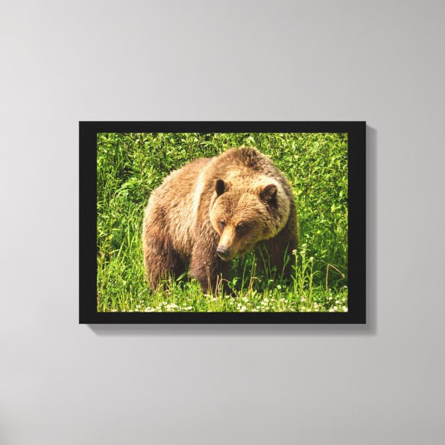 Lumbering Grizzly Bear Canvas Print (Front)