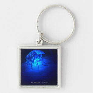 Luminescent illustration of a tsetse fly key ring