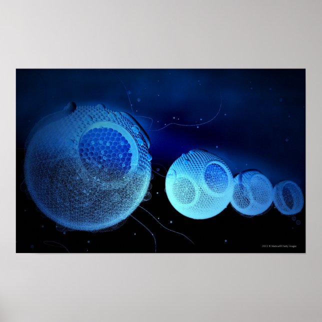 Luminescent illustration of HDL Poster (Front)