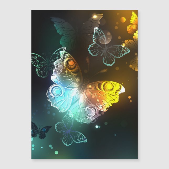 Luminous Butterfly and Night butterflies (Front)