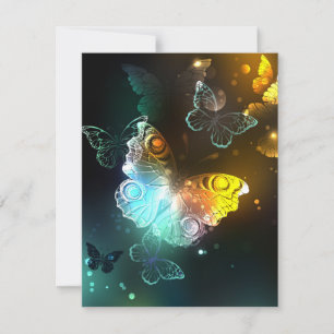 Luminous Butterfly and Night butterflies Announcement