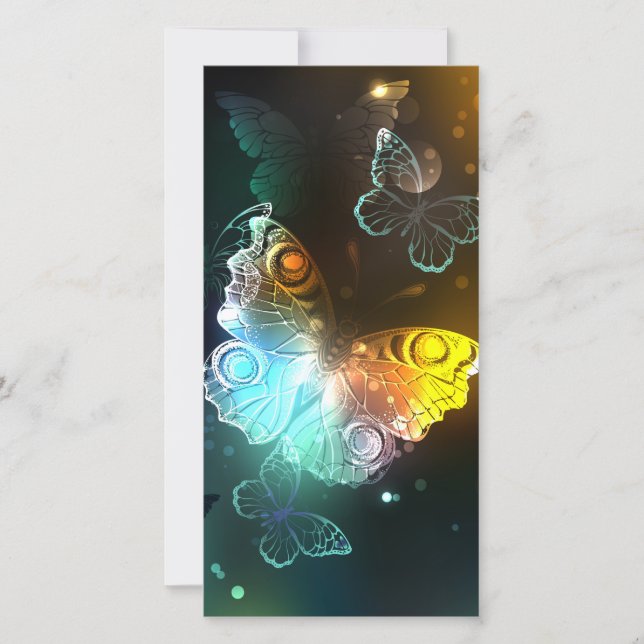 Luminous Butterfly and Night butterflies Announcement (Front)