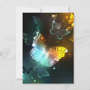 Luminous Butterfly and Night butterflies Announcement