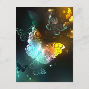 Luminous Butterfly and Night butterflies Announcement Postcard