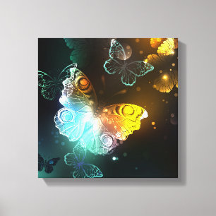 Luminous Butterfly and Night butterflies Canvas Print
