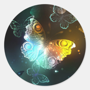 Luminous Butterfly and Night butterflies Classic Round Sticker