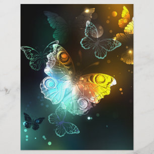 Luminous Butterfly and Night butterflies Custom Letterhead