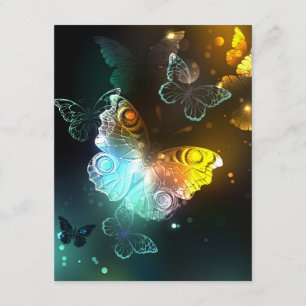 Luminous Butterfly and Night butterflies Enclosure Card