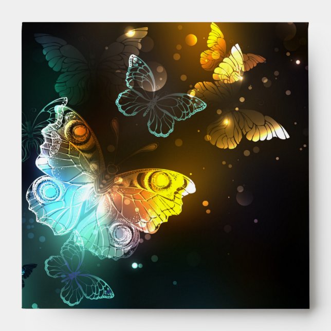 Luminous Butterfly and Night butterflies Envelope (Front)