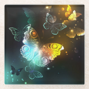 Luminous Butterfly and Night butterflies Glass Coaster