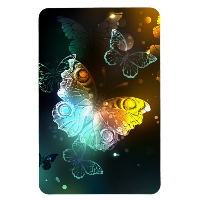 Luminous Butterfly and Night butterflies Magnet (Vertical)