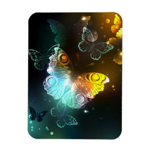 Luminous Butterfly and Night butterflies Magnet