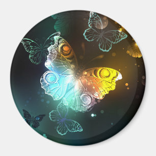 Luminous Butterfly and Night butterflies Magnet