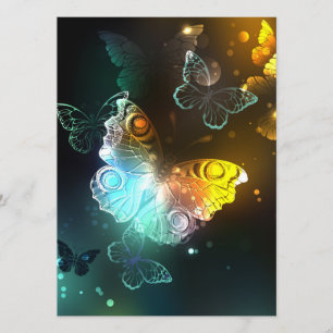 Luminous Butterfly and Night butterflies Menu