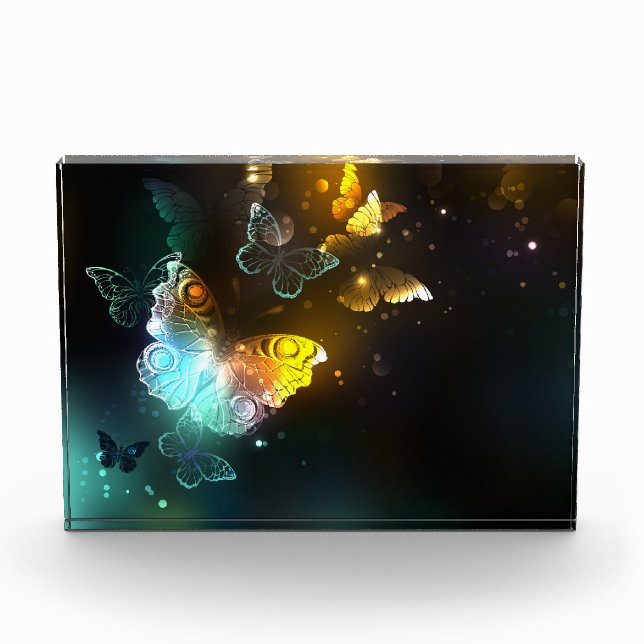Luminous Butterfly and Night butterflies Photo Block (Front)