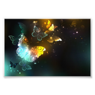 Luminous Butterfly and Night butterflies Photo Print