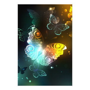 Luminous Butterfly and Night butterflies Photo Print