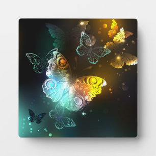 Luminous Butterfly and Night butterflies Plaque