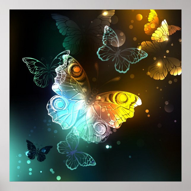 Luminous Butterfly and Night butterflies Poster (Front)