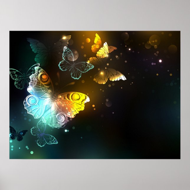 Luminous Butterfly and Night butterflies Poster (Front)