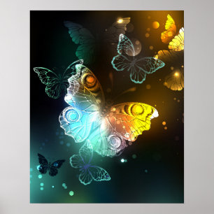Luminous Butterfly and Night butterflies Poster